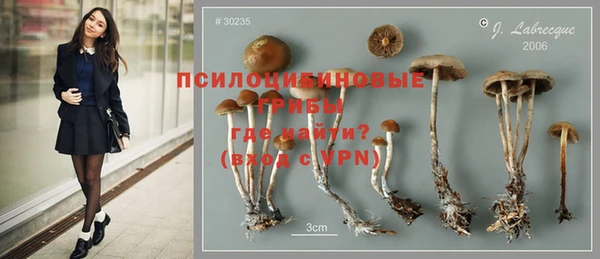 ГАЛЛЮЦИНОГЕННЫЕ ГРИБЫ Алзамай