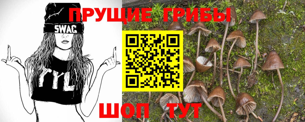 Псилоцибиновые грибы MAGIC MUSHROOMS  Вход с VPN  Балтийск 