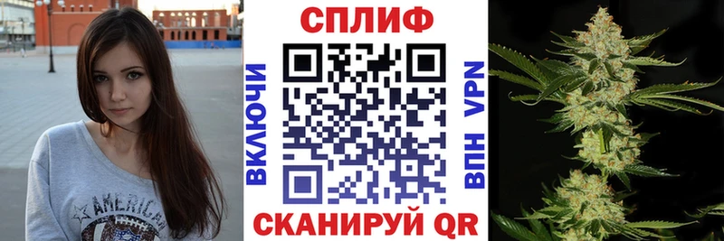 где купить   omg как войти  Конопля OG Kush  нарко площадка официальный сайт  Балтийск 