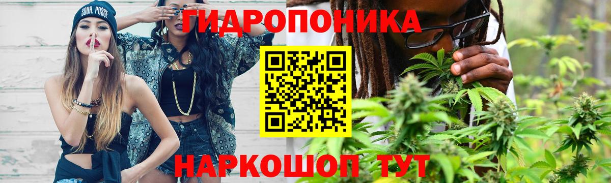 Бошки марихуана OG Kush  Бошки марихуана семена  Вход с VPN  Балтийск 
